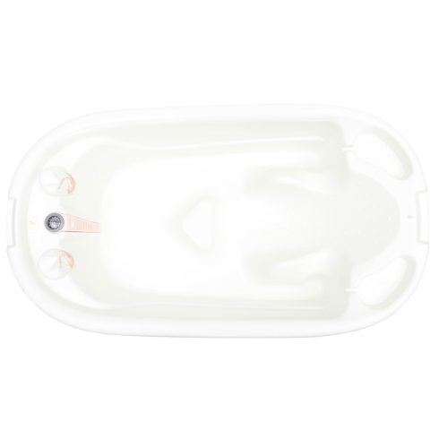 Cangaroo Dolphin Anatómiai babakád 